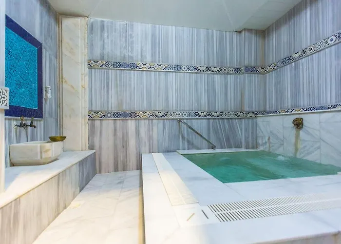 فورمباك ثيرمال سويت آند أبارت بورصة