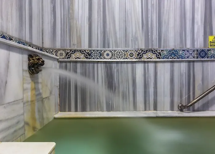 فورمباك ثيرمال سويت آند أبارت شقة فندقية بورصة