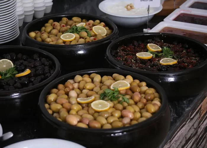 فورمباك ثيرمال سويت آند أبارت بورصة