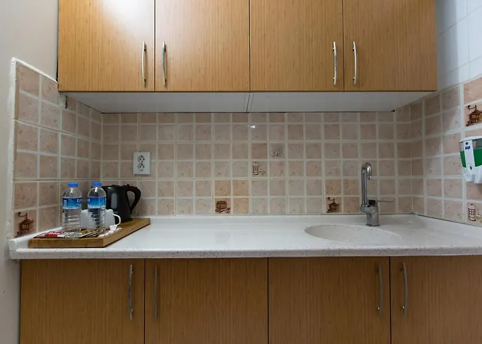 فورمباك ثيرمال سويت آند أبارت 3* بورصة