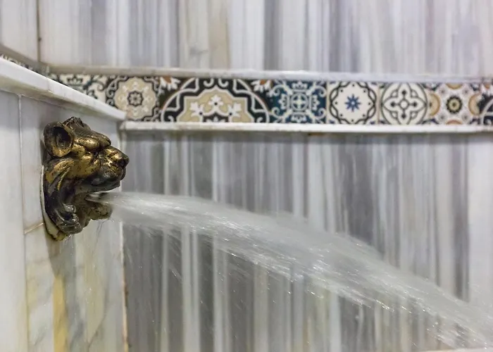 Formback Thermal & Bursa